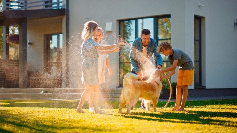 Top 10 Pet-Friendly Communities