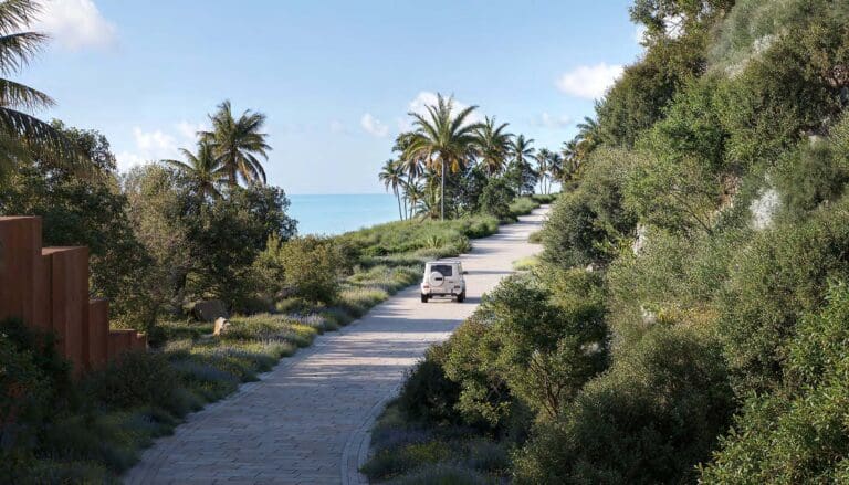 jumeirah asora bay palm trees