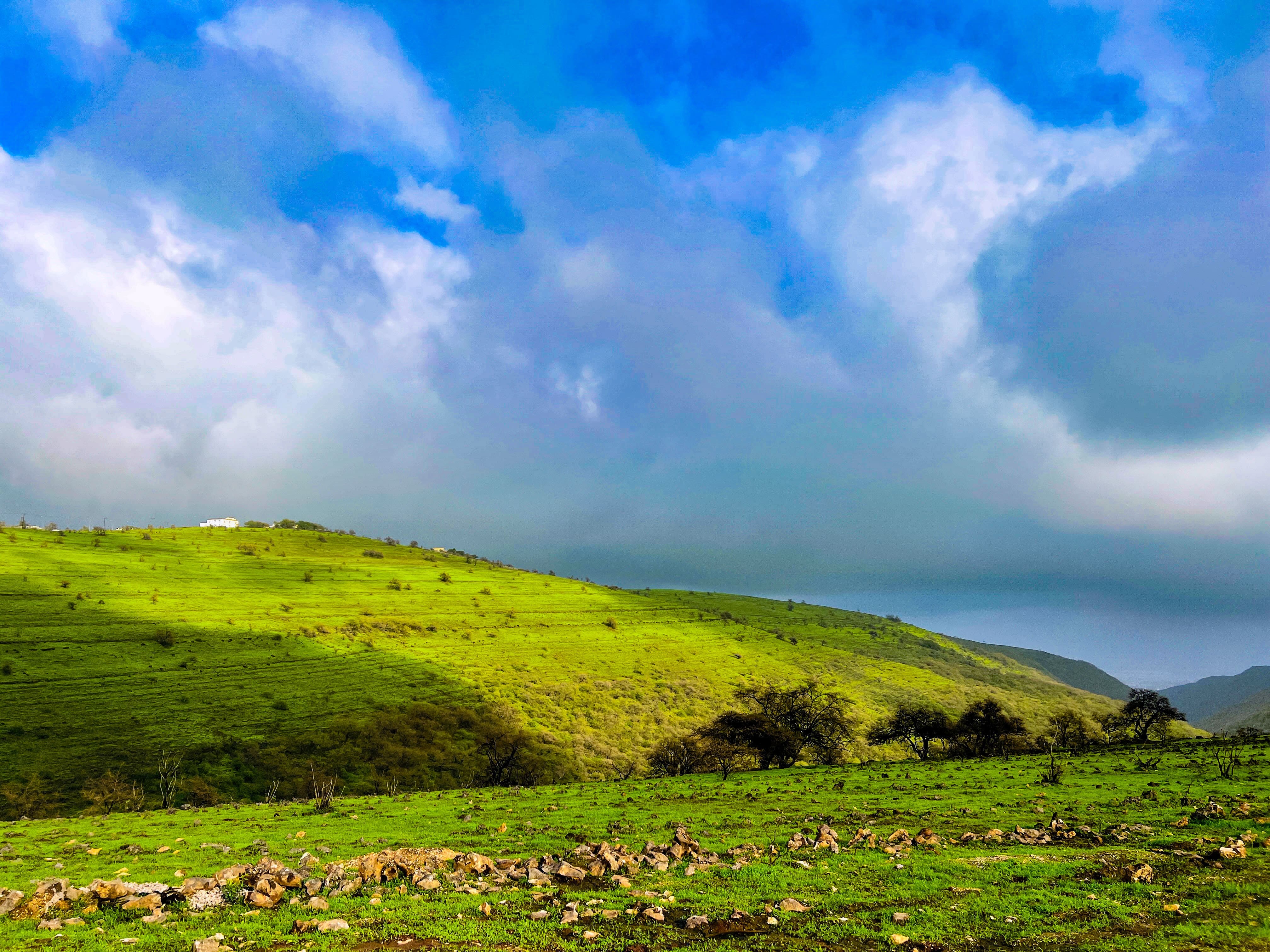 Khareef season in Salalah, Oman — green fields and monsoon rainfall in Dhofar