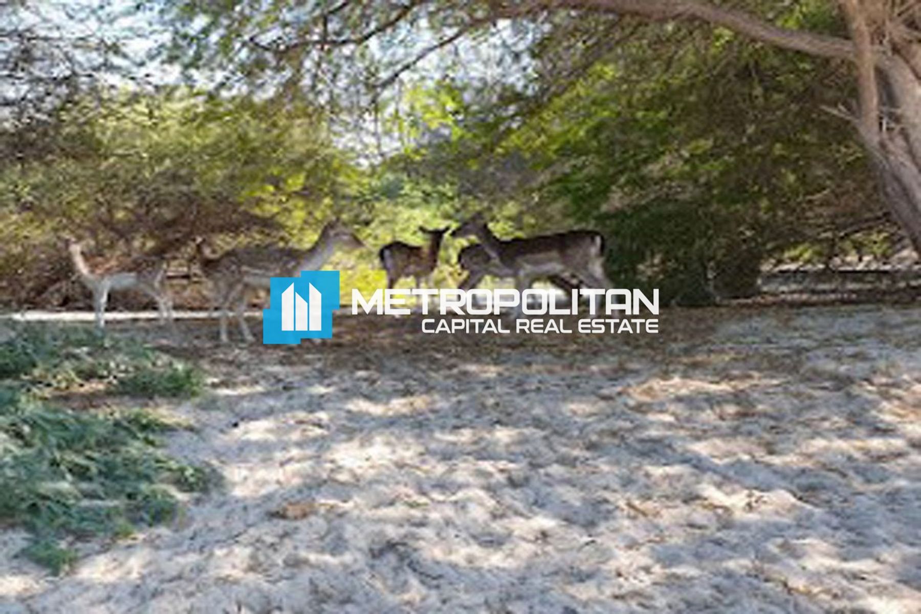 Residential Plot |Great Investment |Beach Access