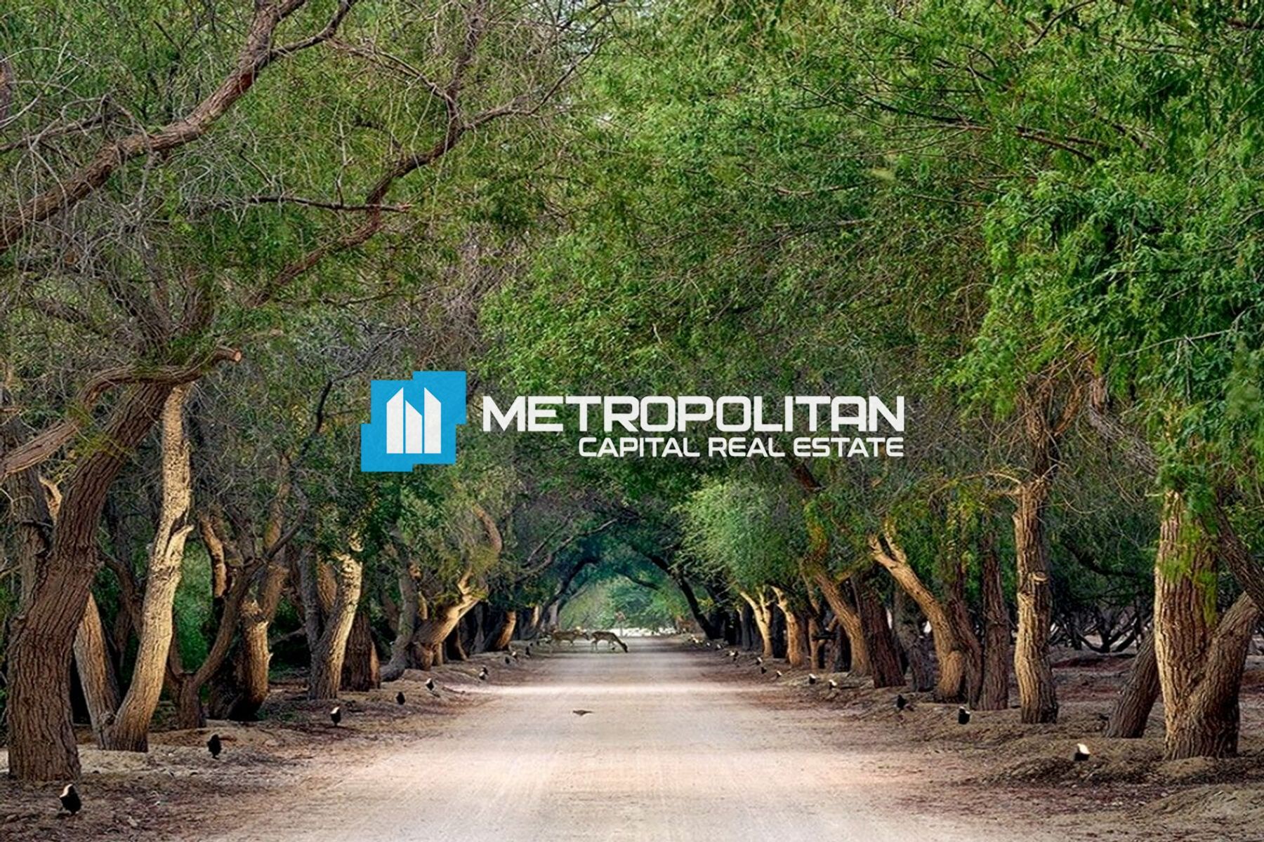 Residential Plot |Great Investment |Beach Access
