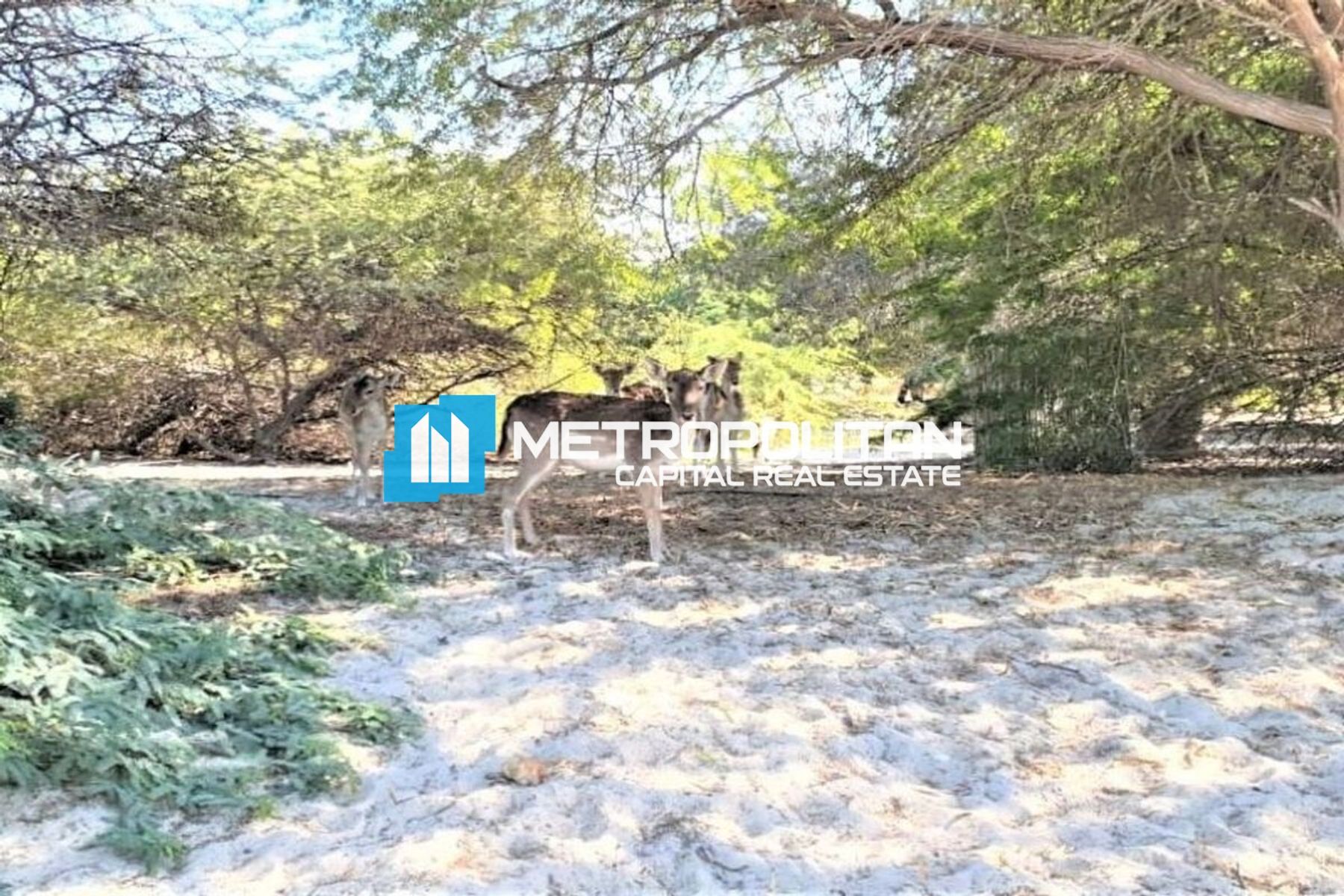 Residential Plot |Great Investment |Beach Access