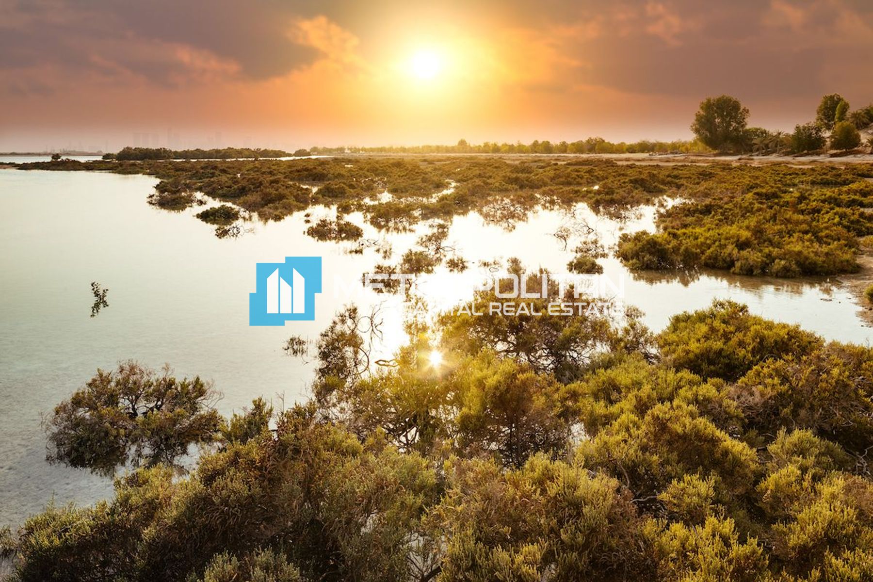 Studio Land Residential for Sale in Nad Al Dhabi, Al Jubail Island - MCS-50327