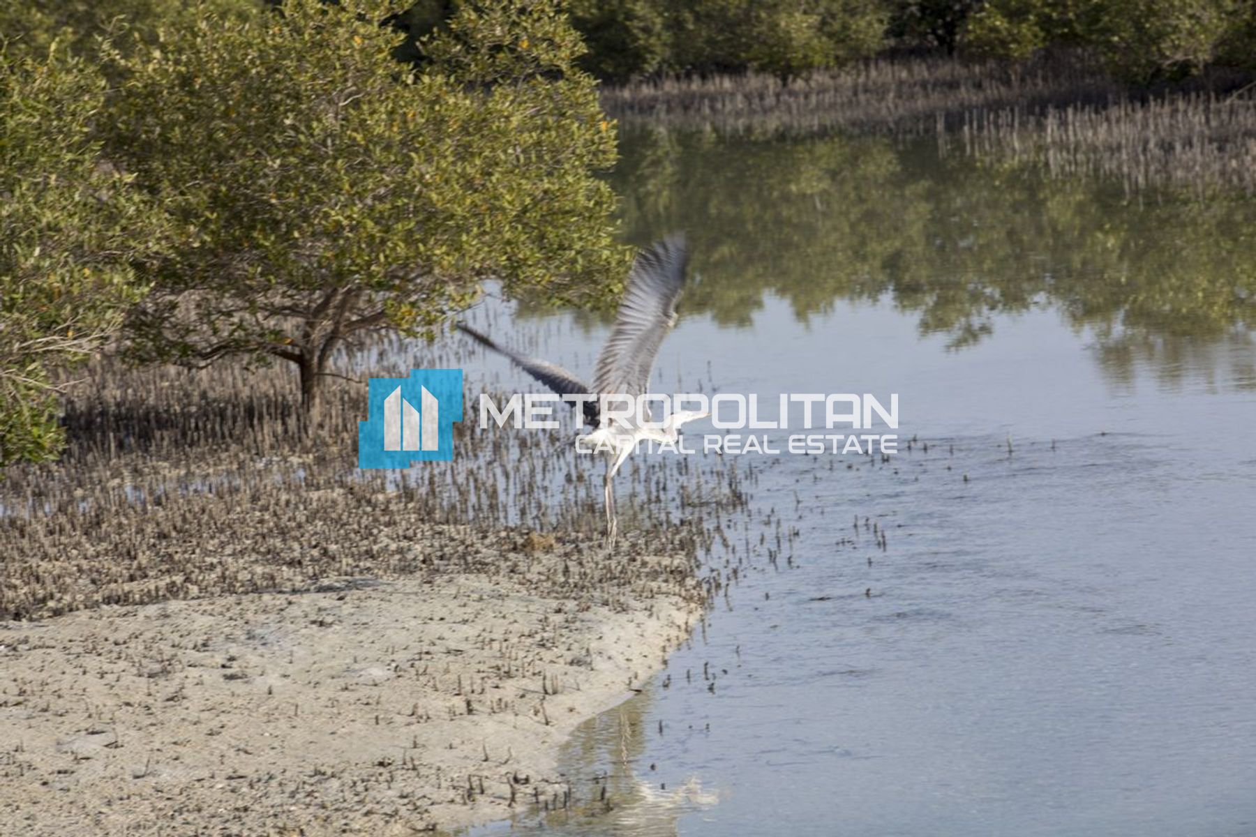 Single Row | Negotiable | Big Plot |Prime Location