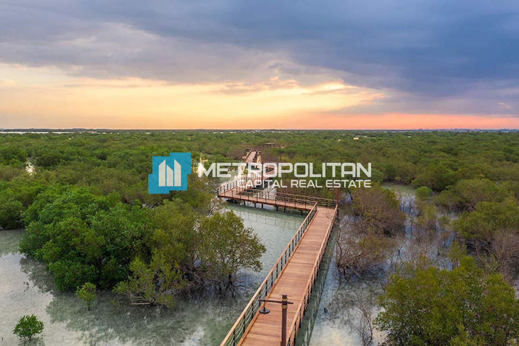 Single Row | Negotiable | Big Plot |Prime Location