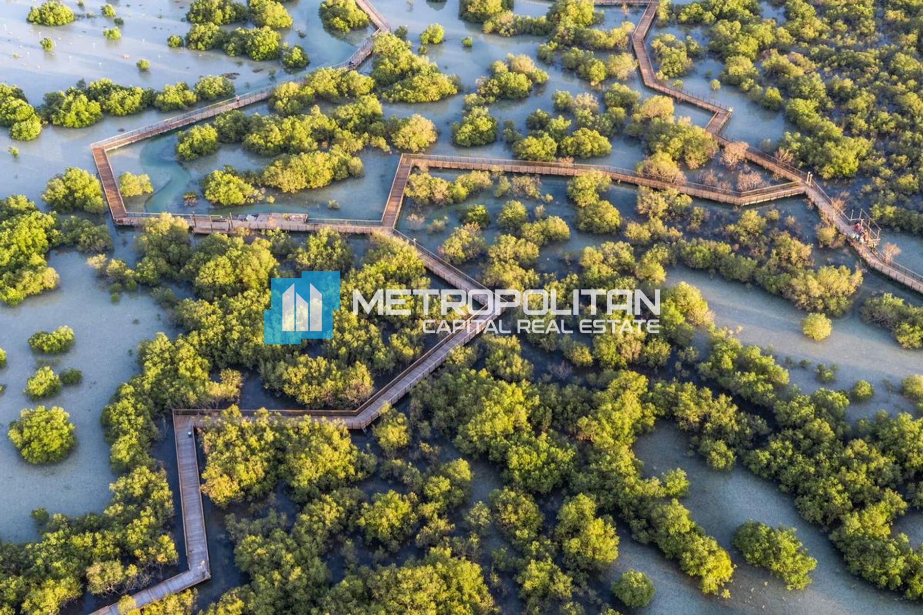 Single Row | Negotiable | Big Plot |Prime Location