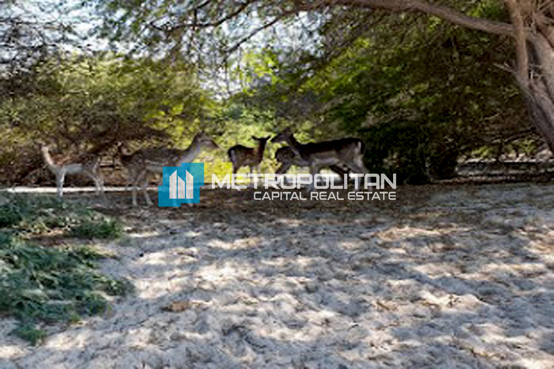 Studio Land Residential for Sale in Al Jurf Gardens 1.1, Ghantoot - MCS-8694