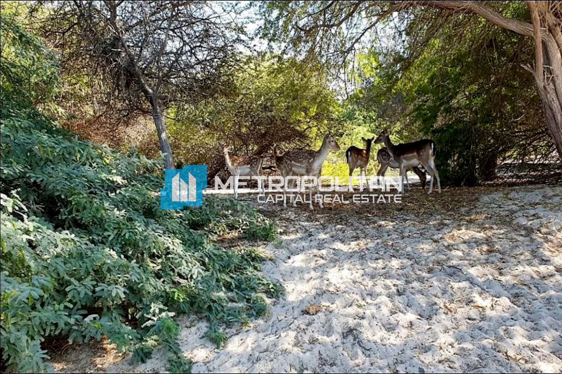 Partial Sea View | Single Row | Near to Facilities