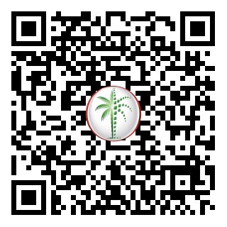 DLD Verified