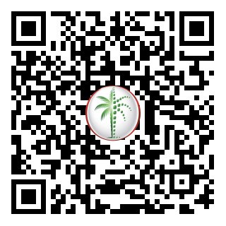 DLD Verified