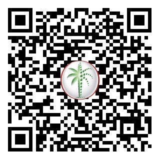 DLD Verified