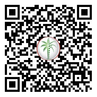DLD Verified