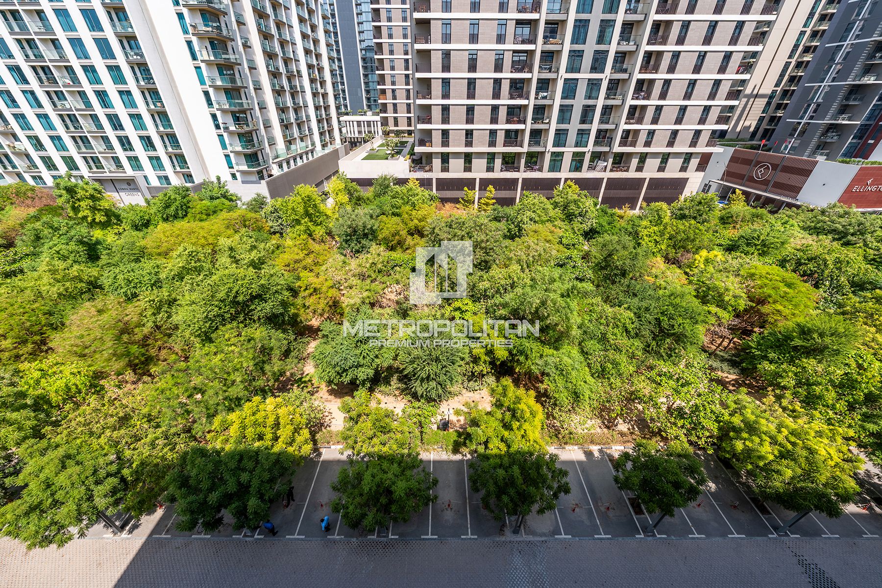 Largest layout | Open Plan | Central Park View