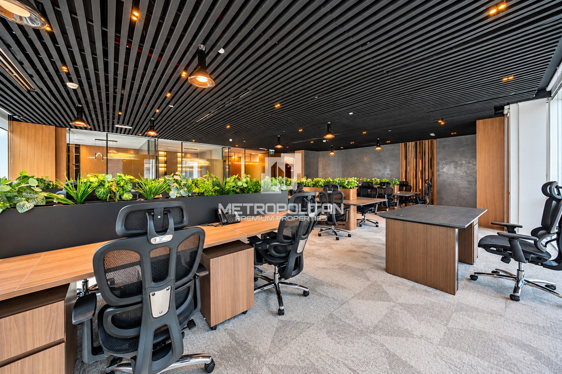 Premium Furnished | GRADE A fit out | 11 Parking's
