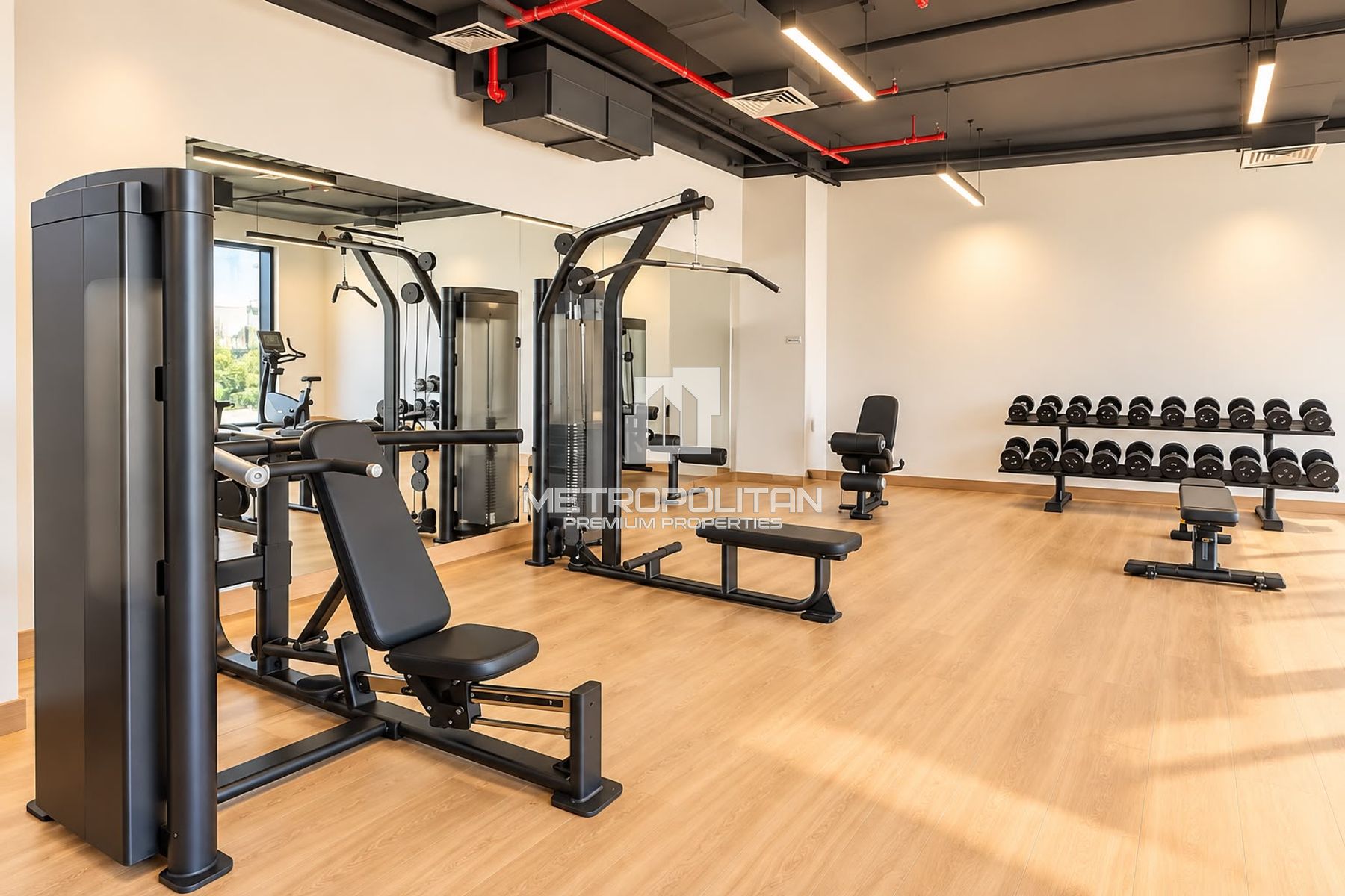 Move In Today | Brand New Top Floor | Largest 1BR
