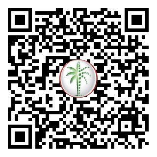 DLD Verified