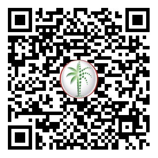 DLD Verified