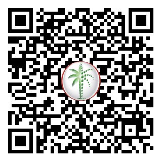 DLD Verified