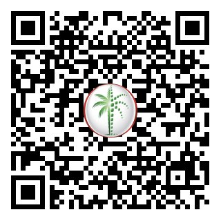 DLD Verified