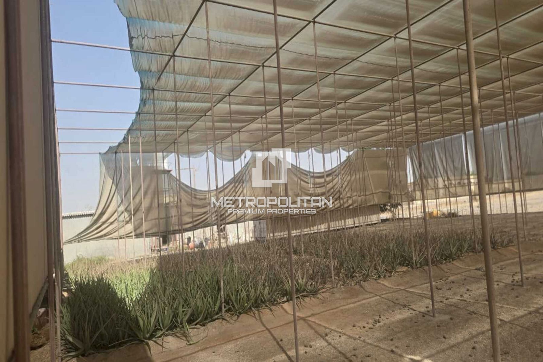 Agricultural Land for Rent in Al Mudfak