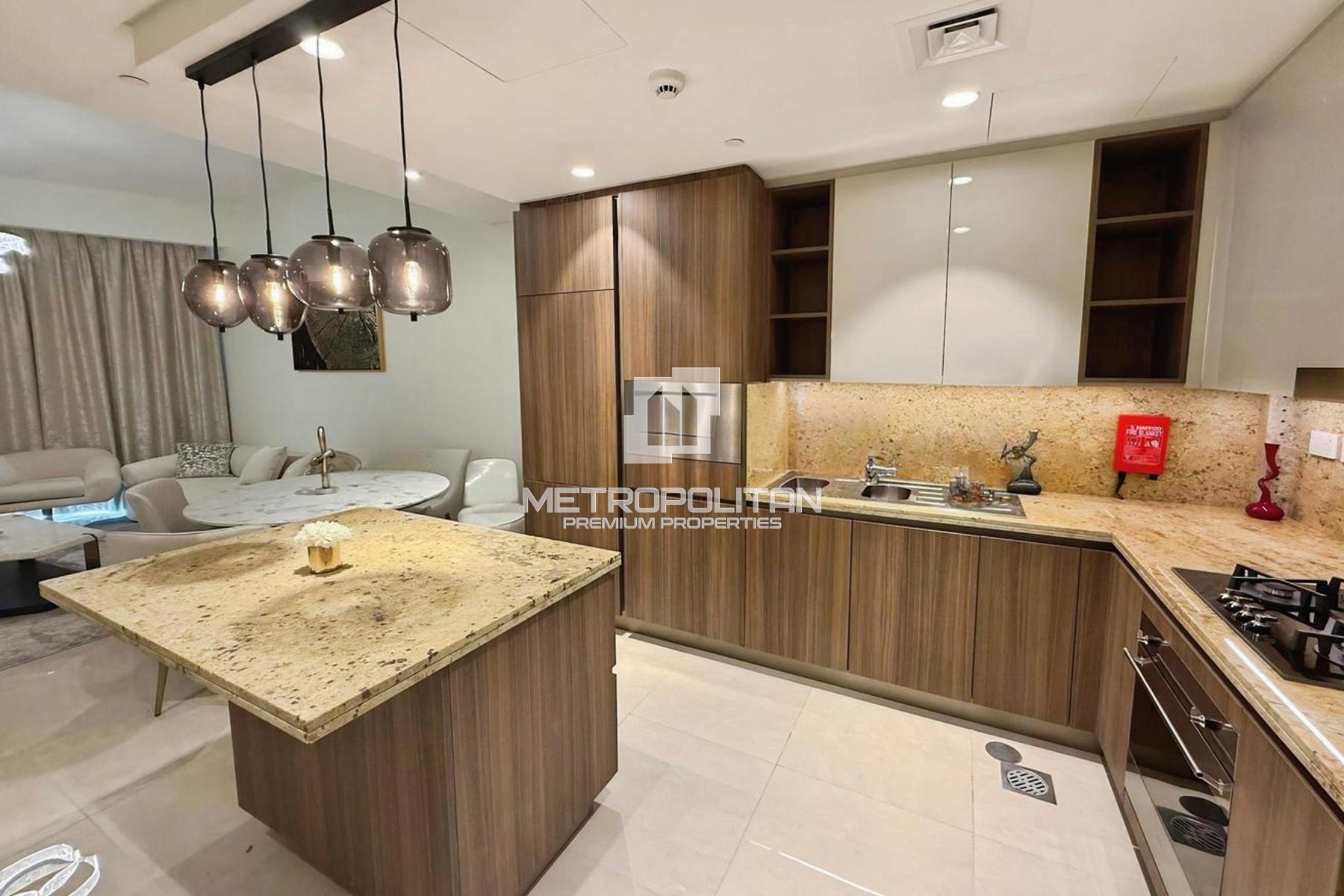 Furnished | Upgraded | Luxury Finish | Brand New photo-6