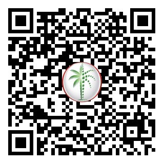 DLD Verified