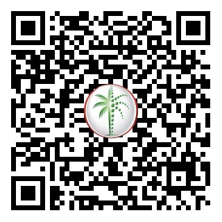 DLD Verified