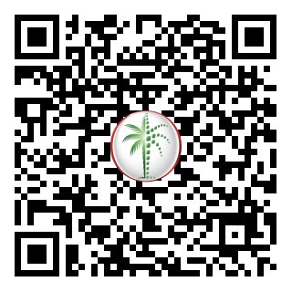 DLD Verified