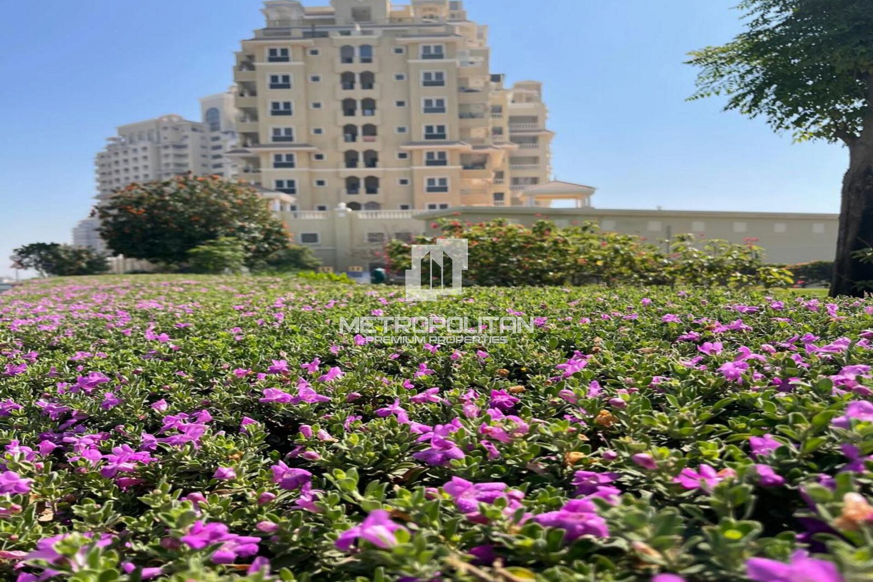 Квартира-студия на продажу в Al Hamra Village – MPS-42642 photo-9