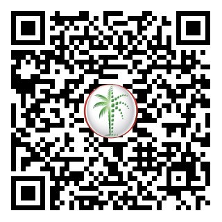 DLD Verified