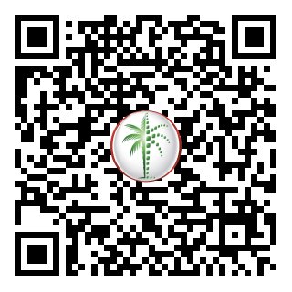 DLD Verified