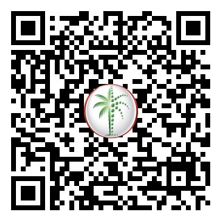 DLD Verified
