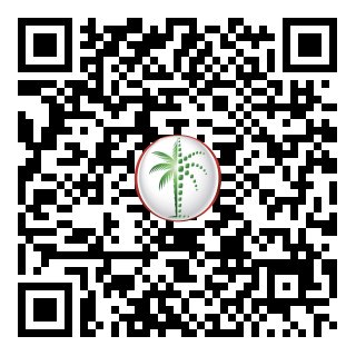 DLD Verified