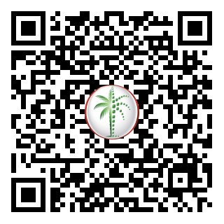 DLD Verified