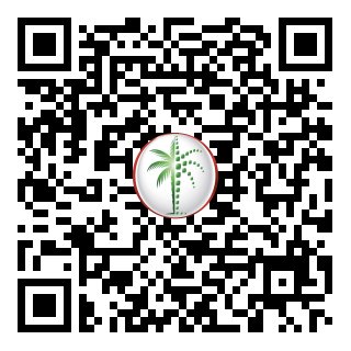 DLD Verified