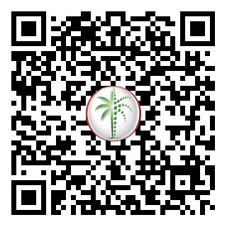 DLD Verified