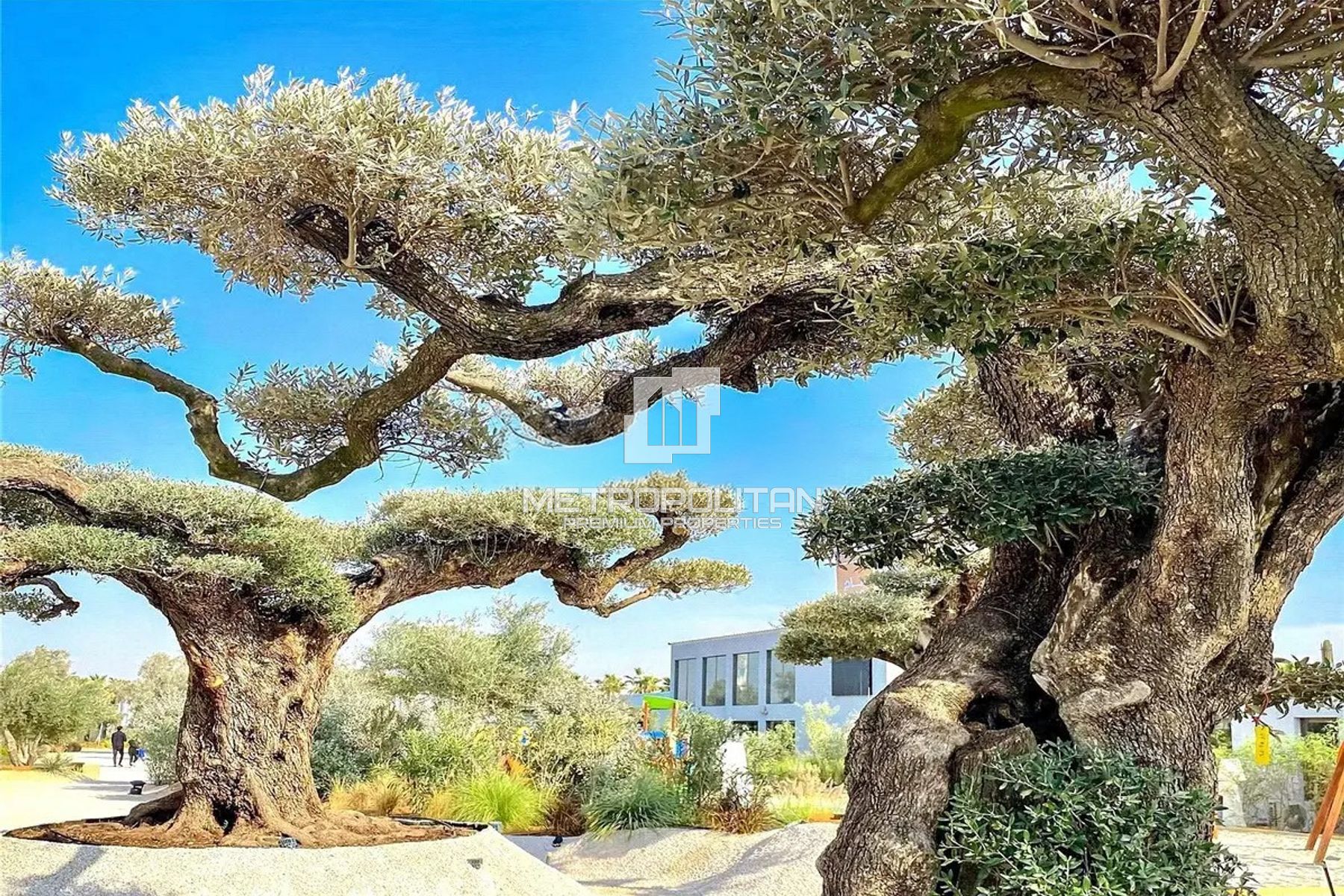 Appartement 1 chambre à vendre à Mohammed Bin Rashid City – MS-26609