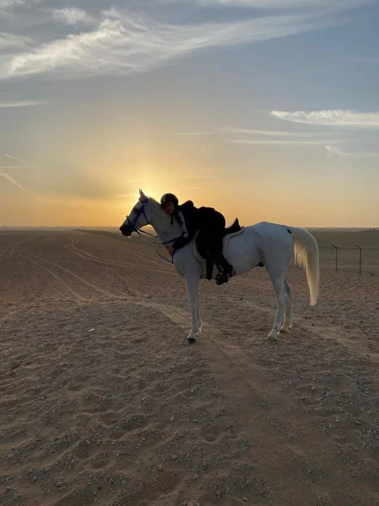 al ali stables dubai riding school near the valley by emaar