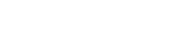 Tiger Group